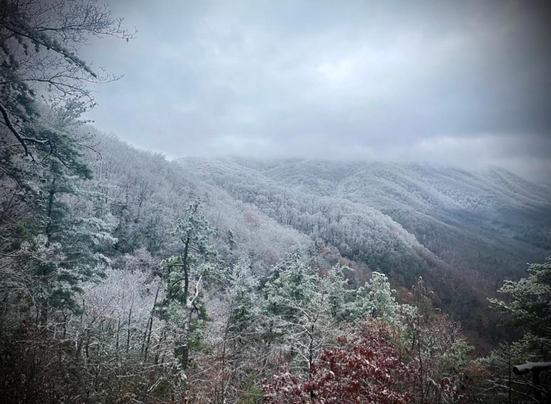 Homestead Retreat ニューポート エクステリア 写真