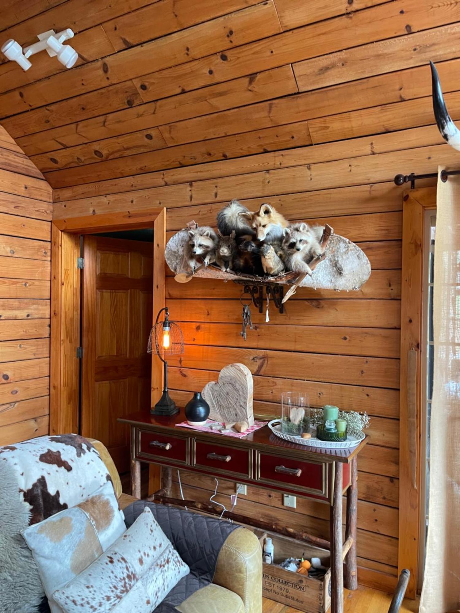 Homestead Retreat ニューポート エクステリア 写真