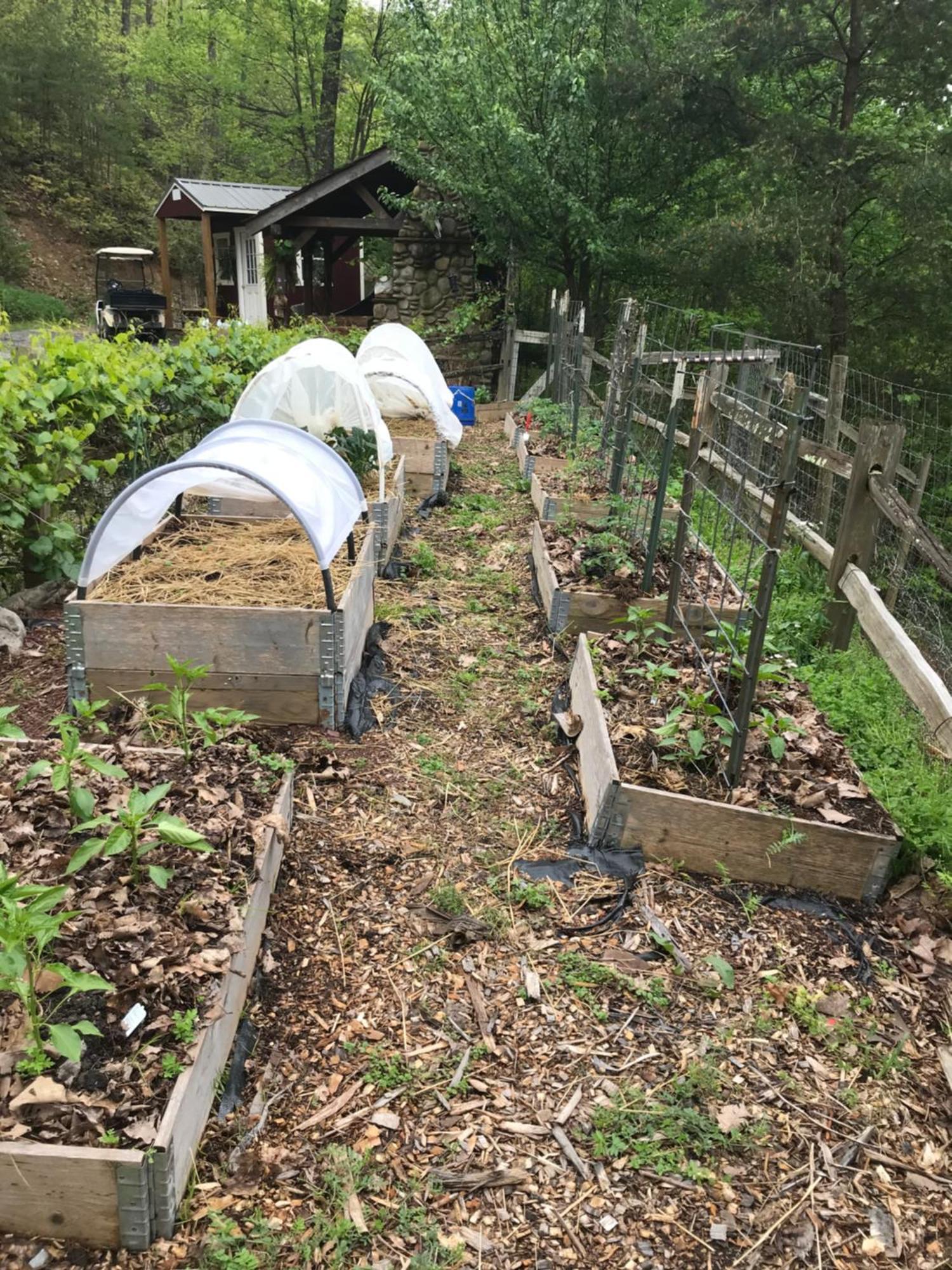 Homestead Retreat ニューポート エクステリア 写真